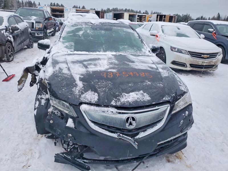 2015 Acura Tlx Advance