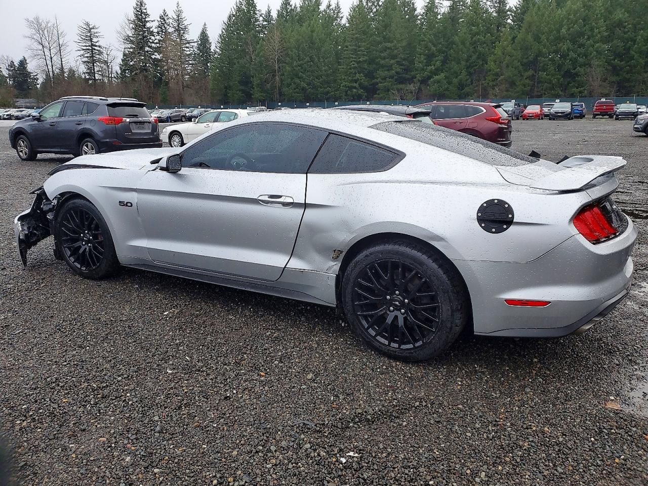 2019 Ford Mustang gt