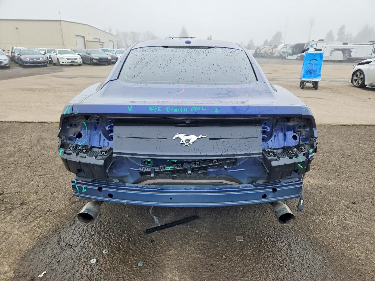 2019 Ford Mustang