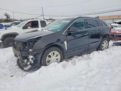 2012 Cadillac Srx Luxury Collection for sale in Windsor, NJ