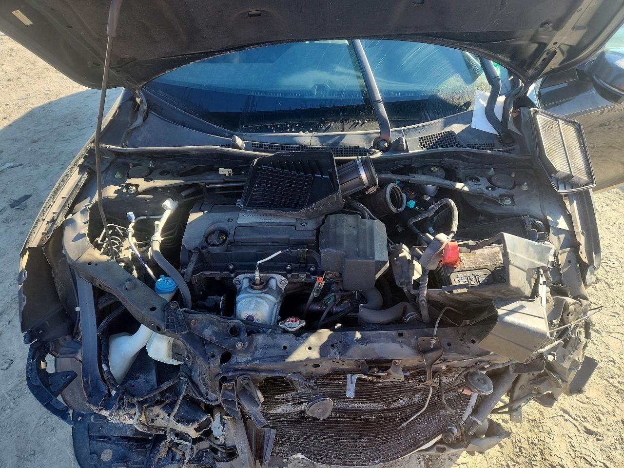 2013 Honda Accord exl