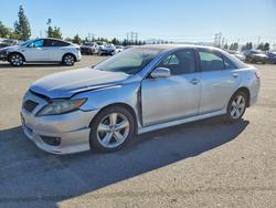 2010 Toyota Camry Base en venta en Rancho Cucamonga, CA
