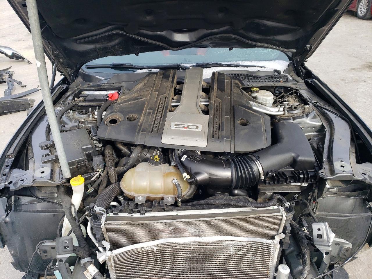 2019 Ford Mustang gt