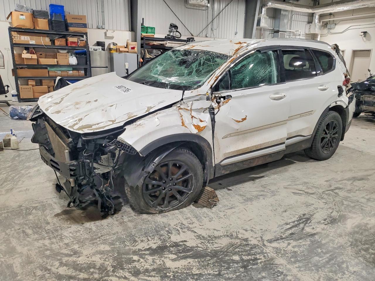 2020 Hyundai Santa fe sel