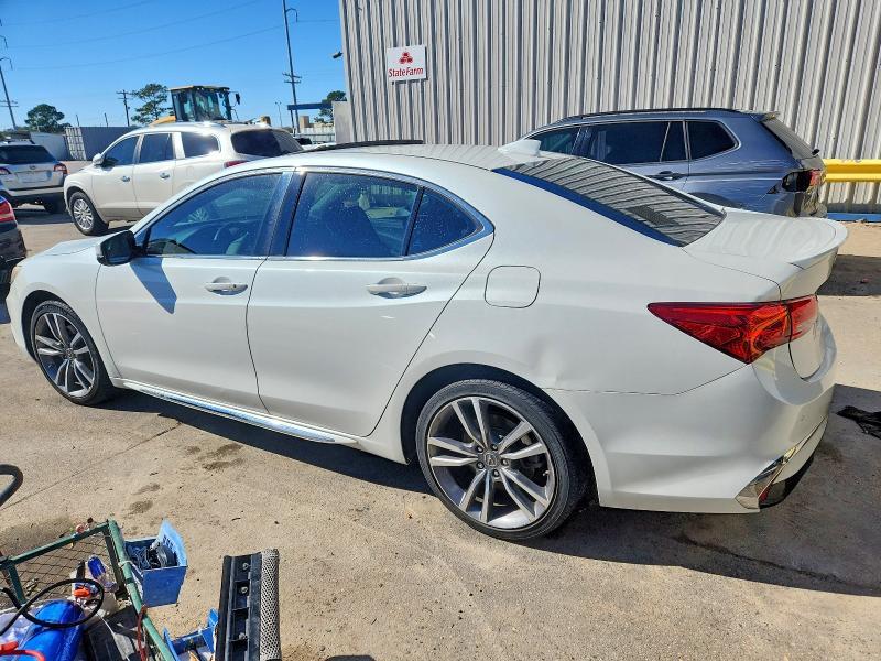 2019 Acura Tlx Advance