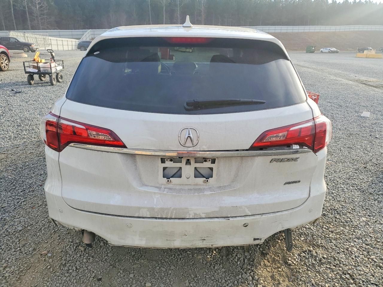 2017 Acura Rdx Advance