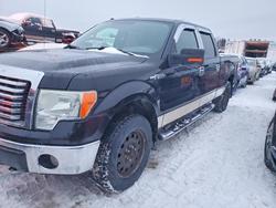 2010 Ford F150 Supercrew for sale in Montreal Est, QC