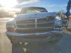 2001 Dodge Dakota Quattro
