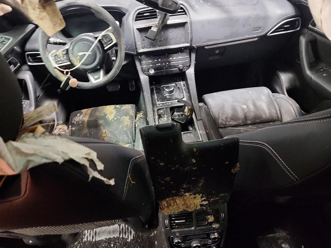 2019 Jaguar F-pace R-sport