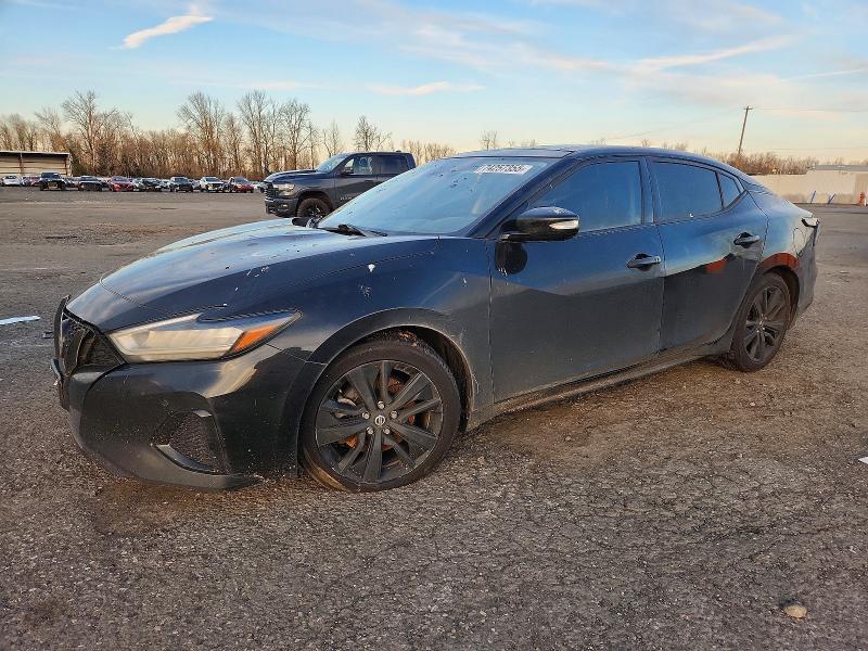 2019 Niss Maxima