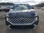 2023 Hyundai Santa fe sel Premium