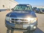 2010 Ford Escape