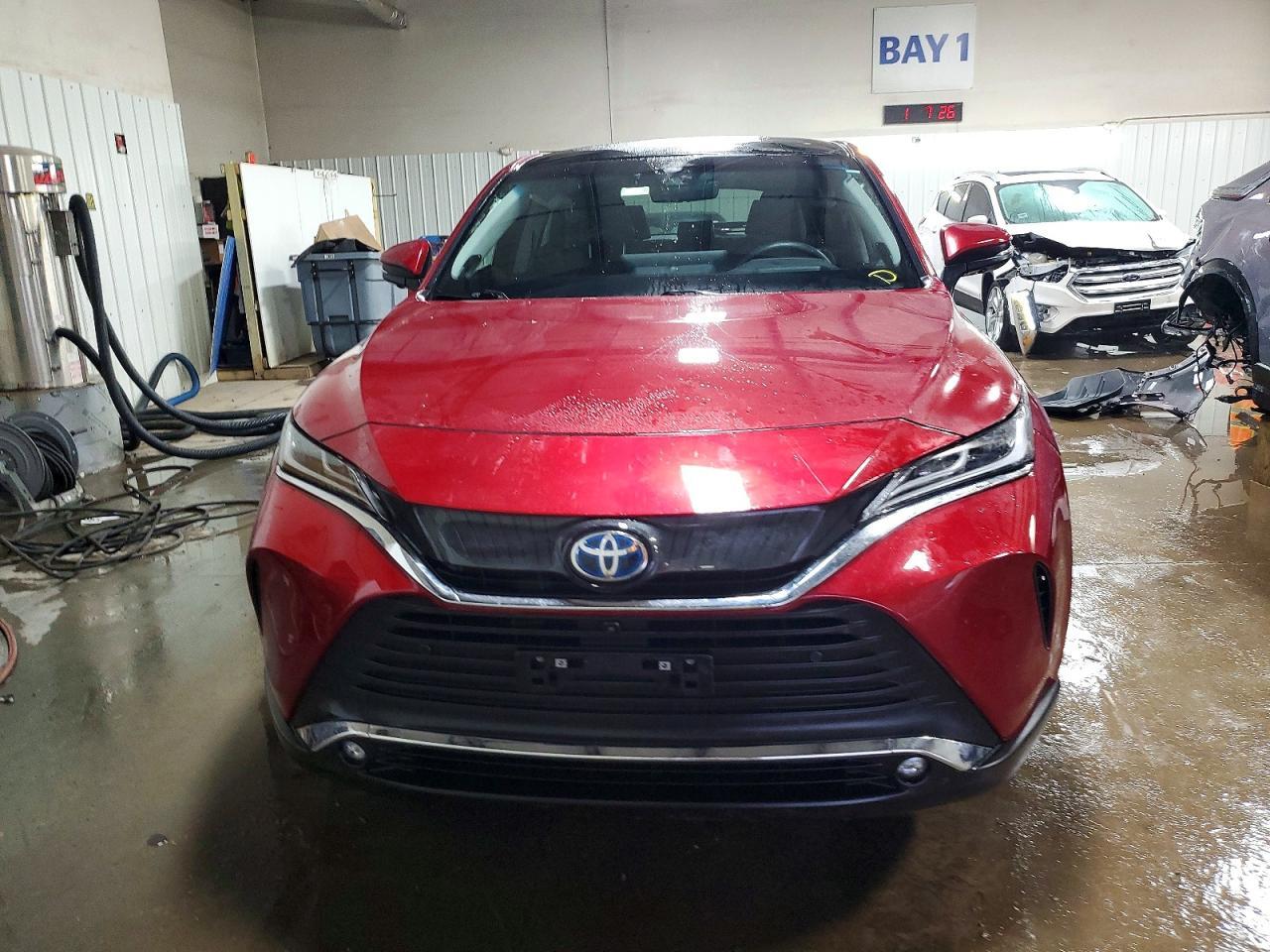 2024 Toyota Venza le