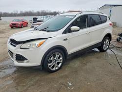 2015 Ford Escape Titanium en venta en Louisville, KY