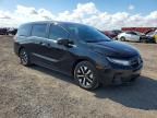 2025 Honda Odyssey exl