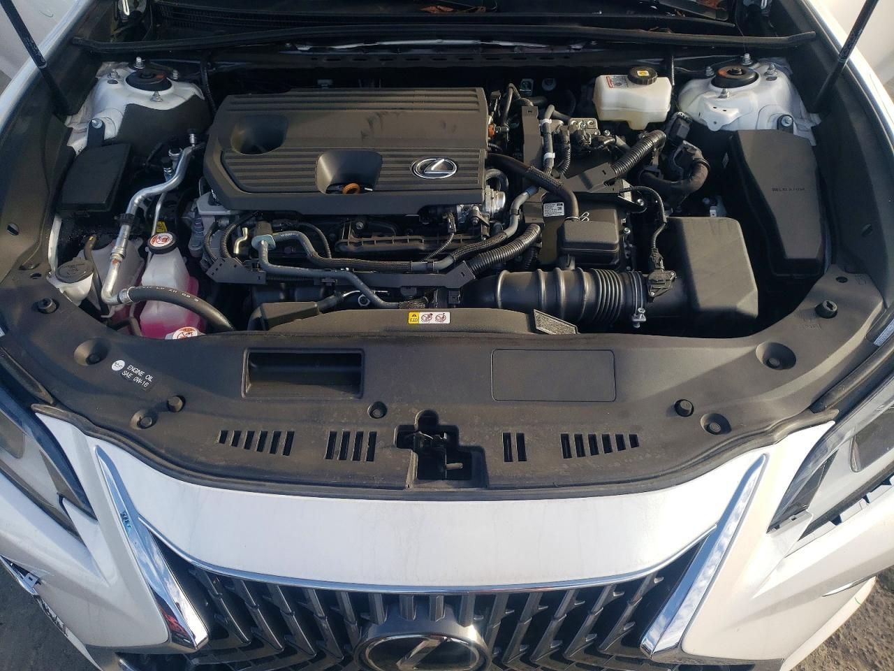 2025 Lexus Es 300h Base