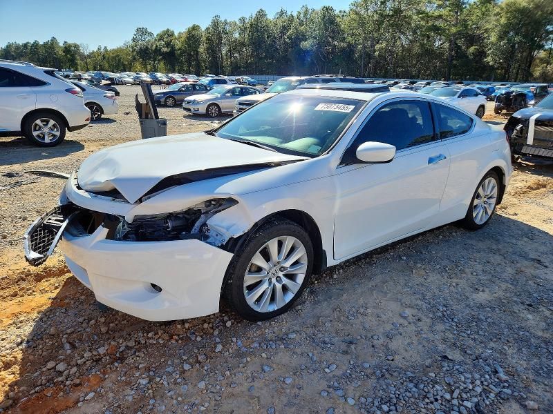 2009 Honda Accord exl