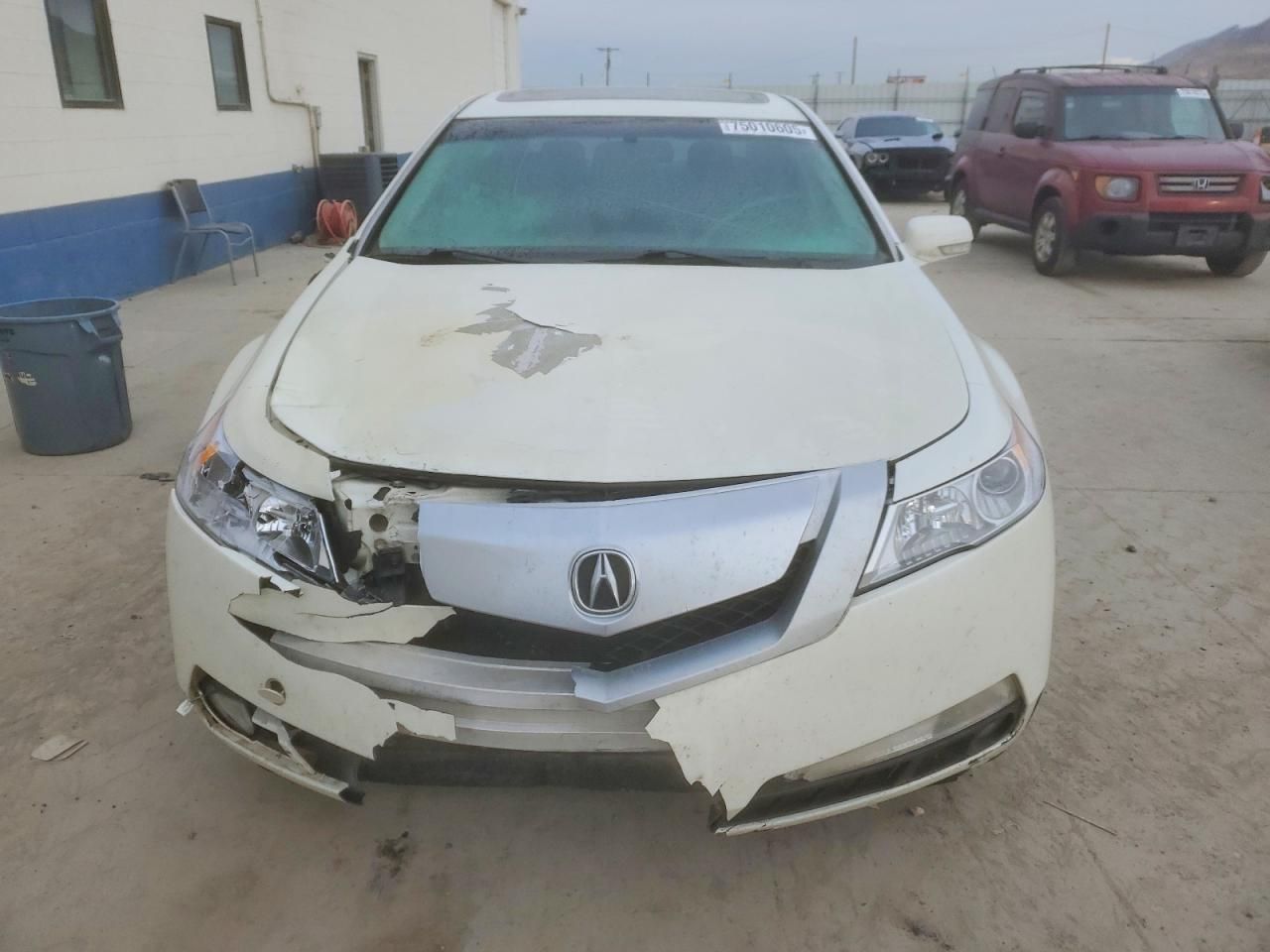 2009 Acura TL