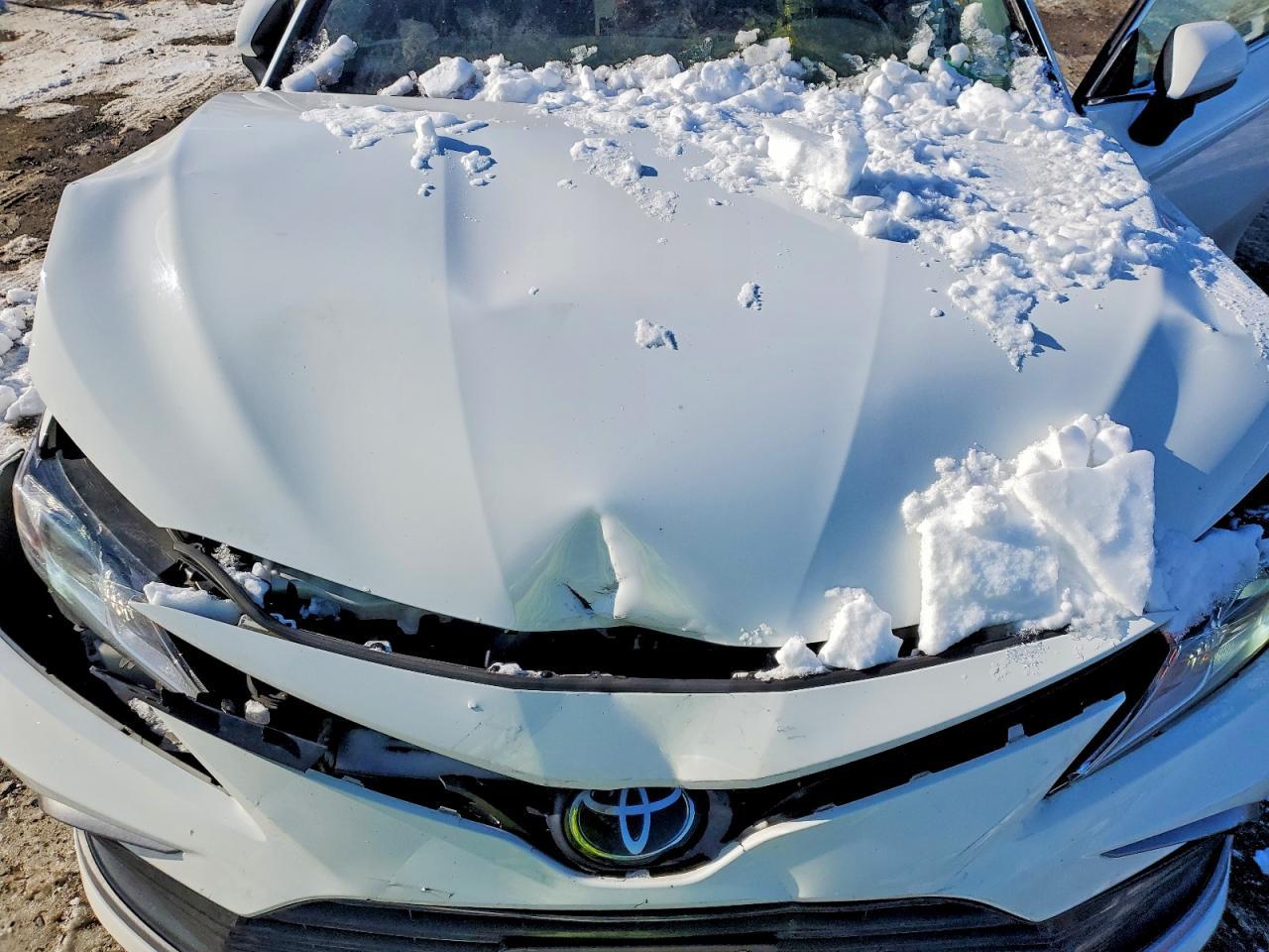 2023 Toyota Camry le