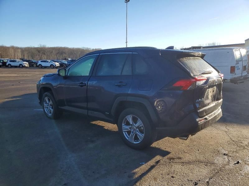 2025 Toyota Rav4 xle