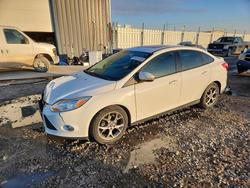 Ford salvage cars for sale: 2013 Ford Focus se