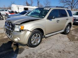 Salvage cars for sale from Copart Bridgeton, MO: 2010 Ford Escape xlt