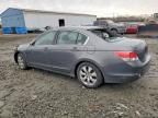 2010 Honda Accord ex