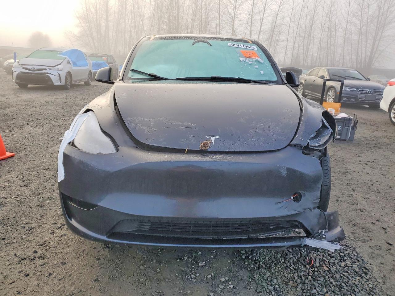 2025 Tesla Model y