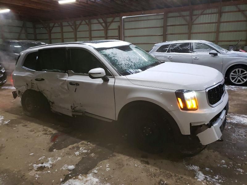 2025 KIA Telluride ex