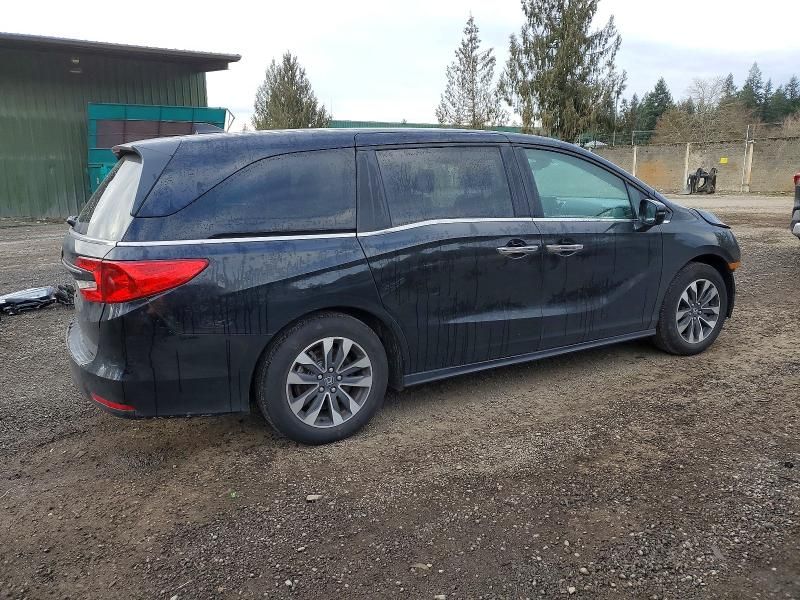 2024 Honda Odyssey exl