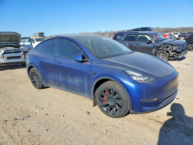 2021 Tesla Model y