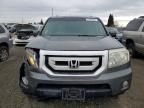 2009 Honda Pilot exl