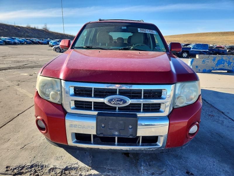 2010 Ford Escape Limited