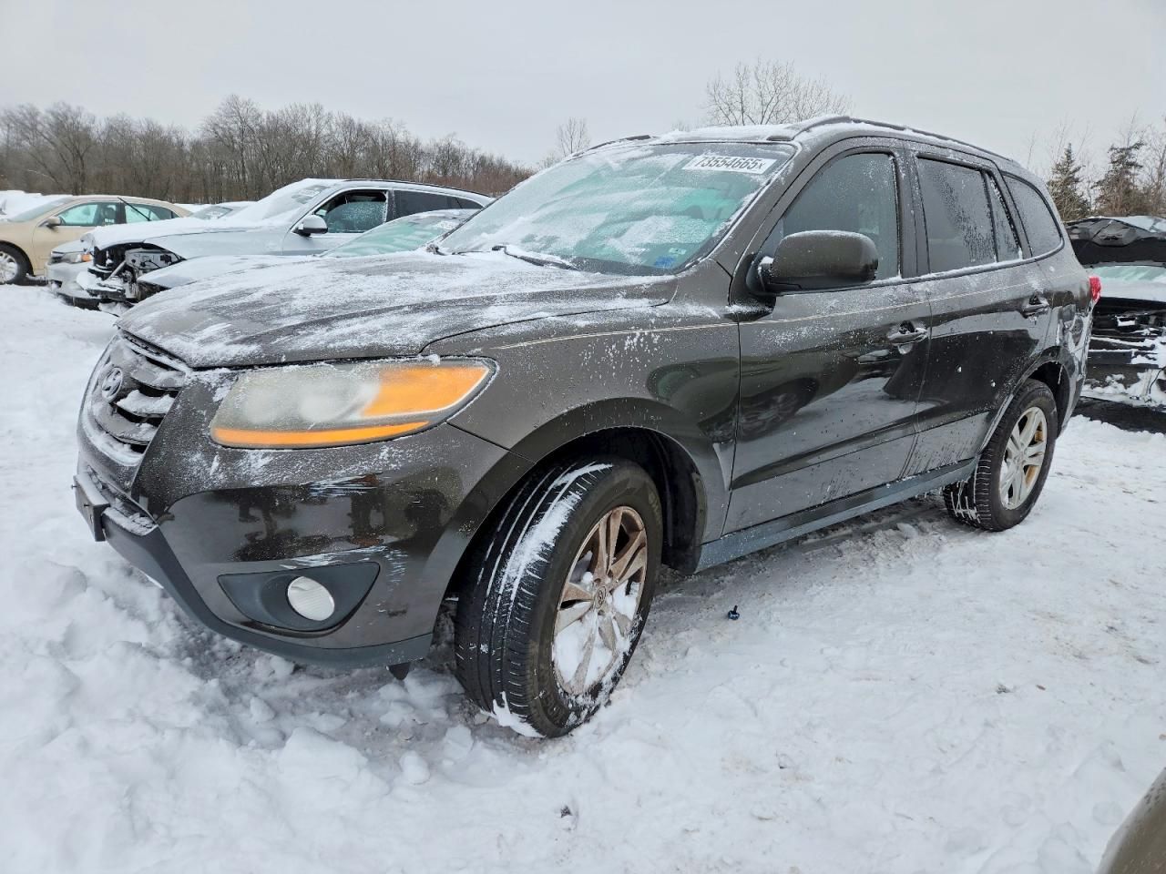 2011 Hyundai Santa fe se