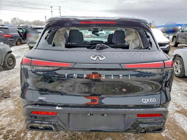 2024 Infiniti Qx60 Luxe