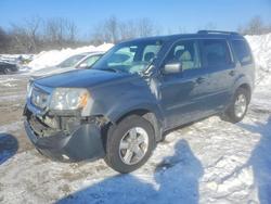 Salvage cars for sale from Copart Marlboro, NY: 2009 Honda Pilot exl