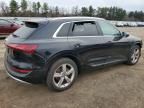 2019 Audi E-tron Premium Plus
