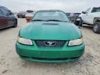 1999 Ford Mustang gt