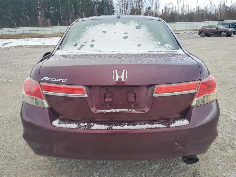 2011 Honda Accord exl