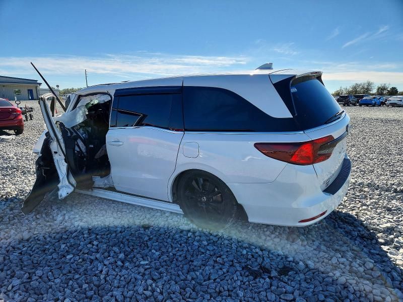 2024 Honda Odyssey Sport