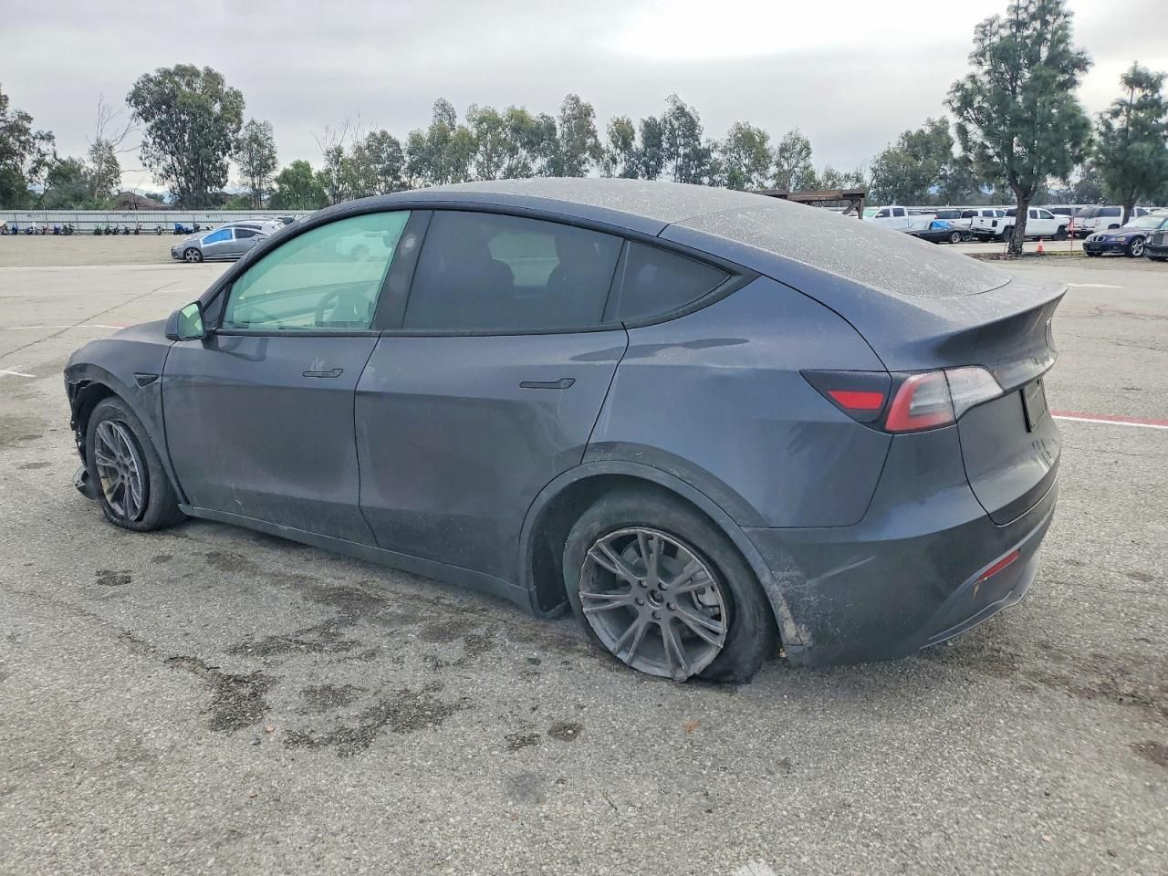2025 Tesla Model y