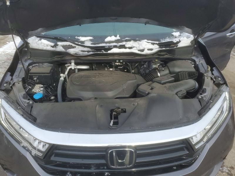 2024 Honda Odyssey exl