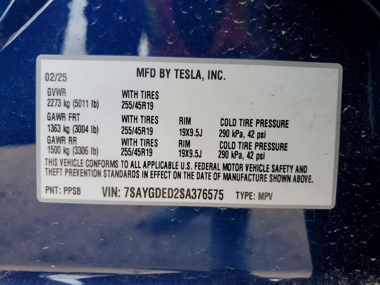 2025 Tesla Model y