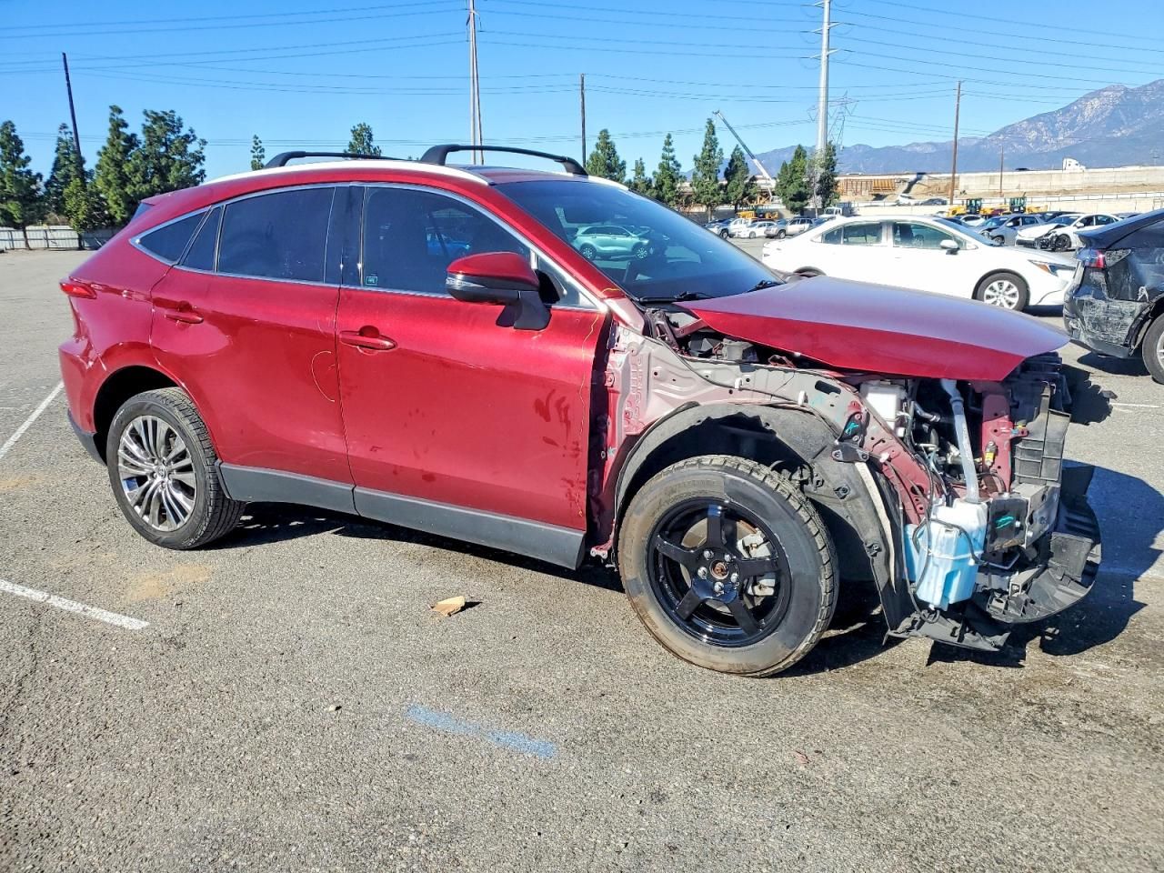 2023 Toyota Venza le