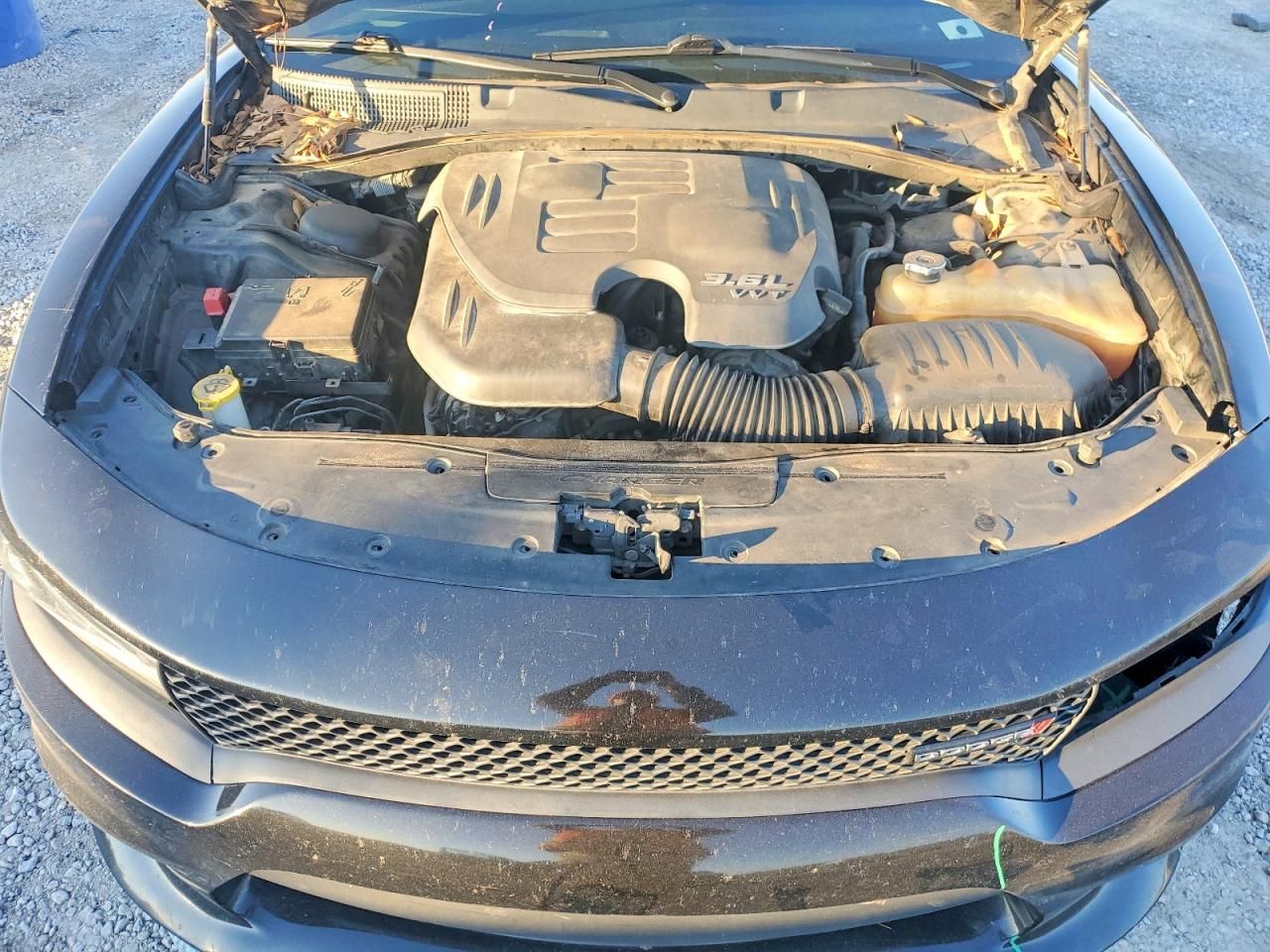 2019 Dodge Charger gt