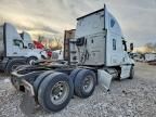 2019 Freightliner Cascadia 126