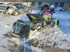 2021 Arctic Cat Artic Cat