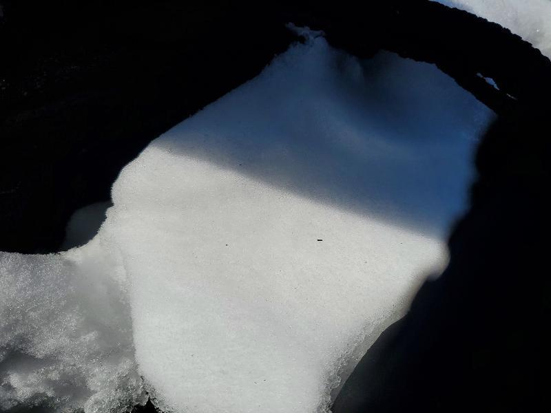 2024 Ford Escape st Line