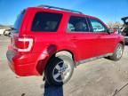 2010 Ford Escape Limited