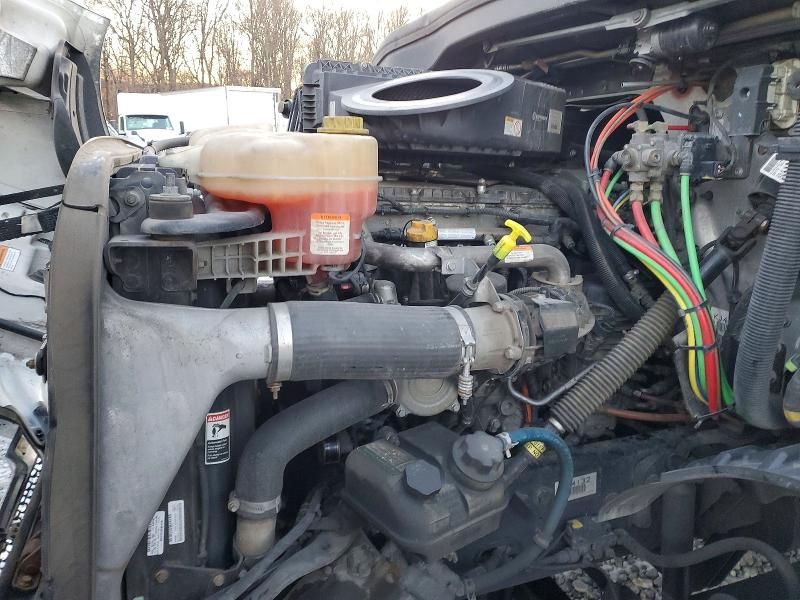 2019 Freightliner Cascadia 116